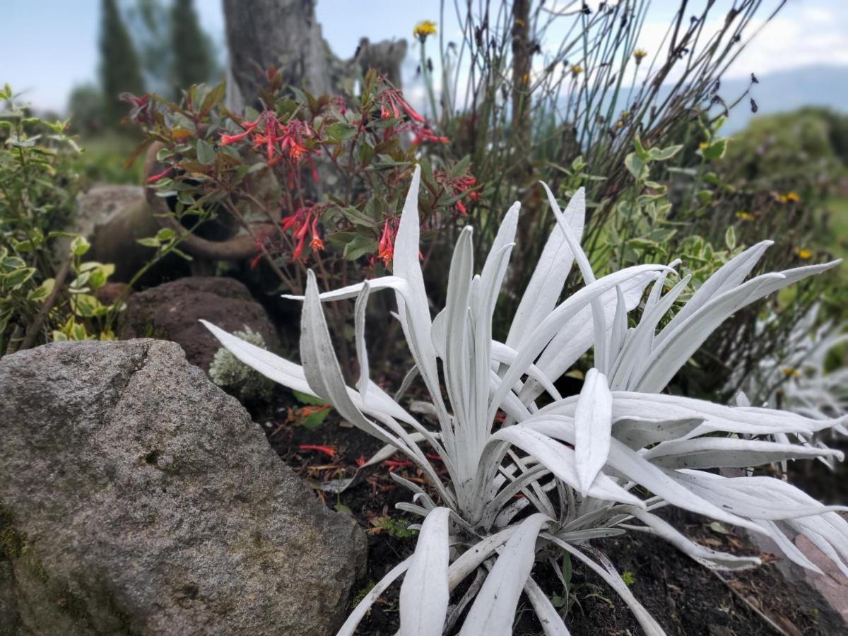 Balcon Al Cotopaxi Hosteria Sangolquí Eksteriør bilde
